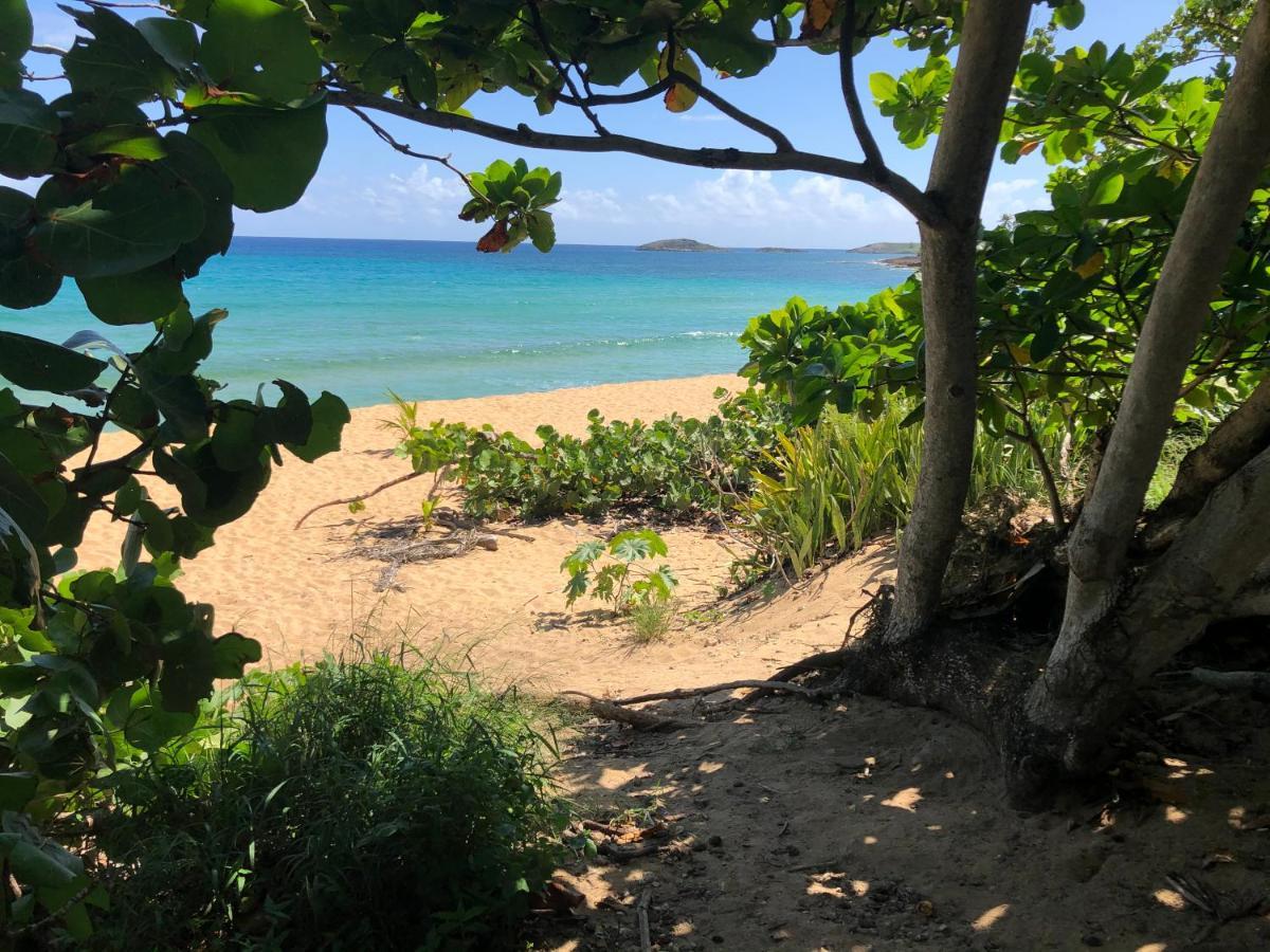 Las Olas Beach Apartments Arecibo Eksteriør bilde