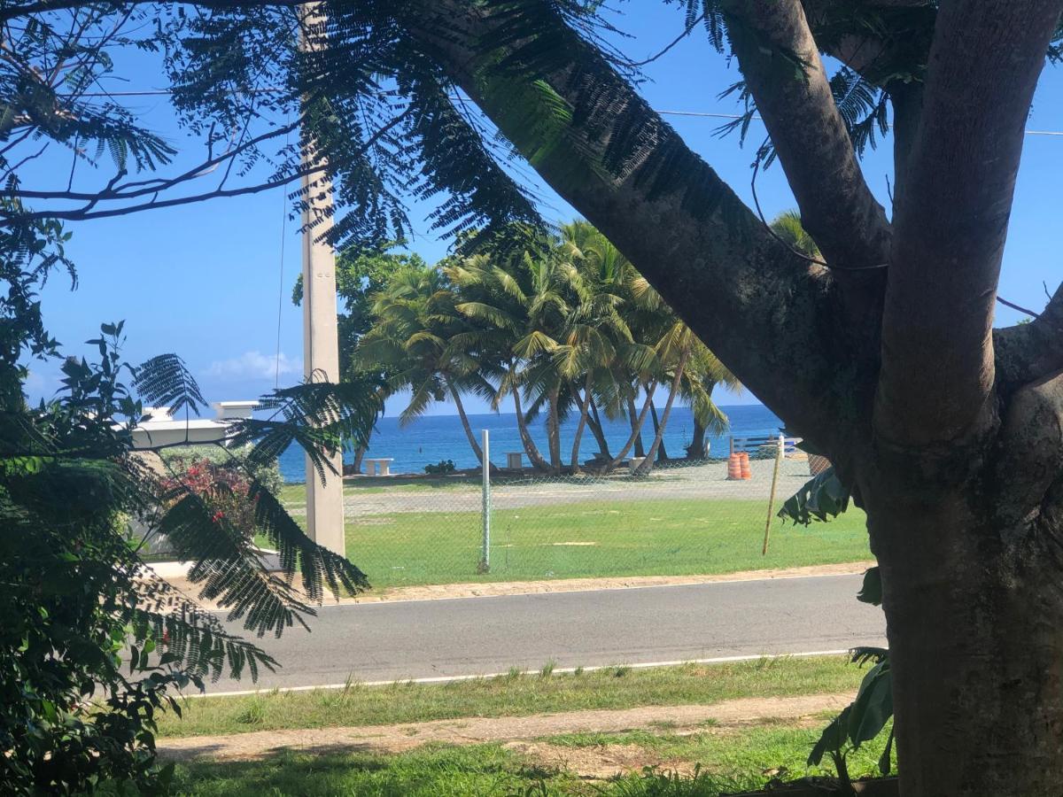 Las Olas Beach Apartments Arecibo Eksteriør bilde