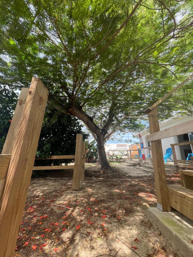 Las Olas Beach Apartments Arecibo Eksteriør bilde